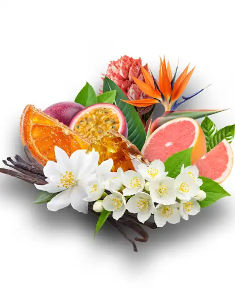 Island Nectar Clean Fragrance - Clean Fragrances